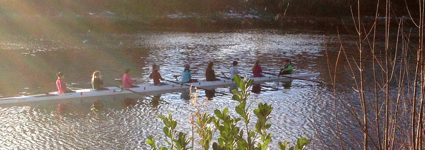 rowers